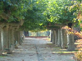 2008 10-Nyon Switzerland Path